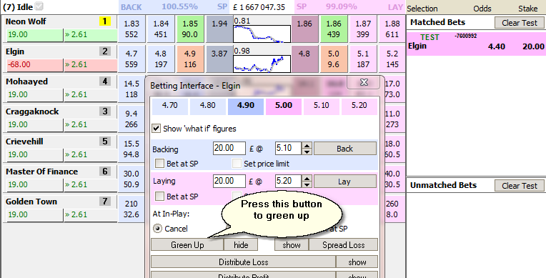 Greening up via Betting Interface